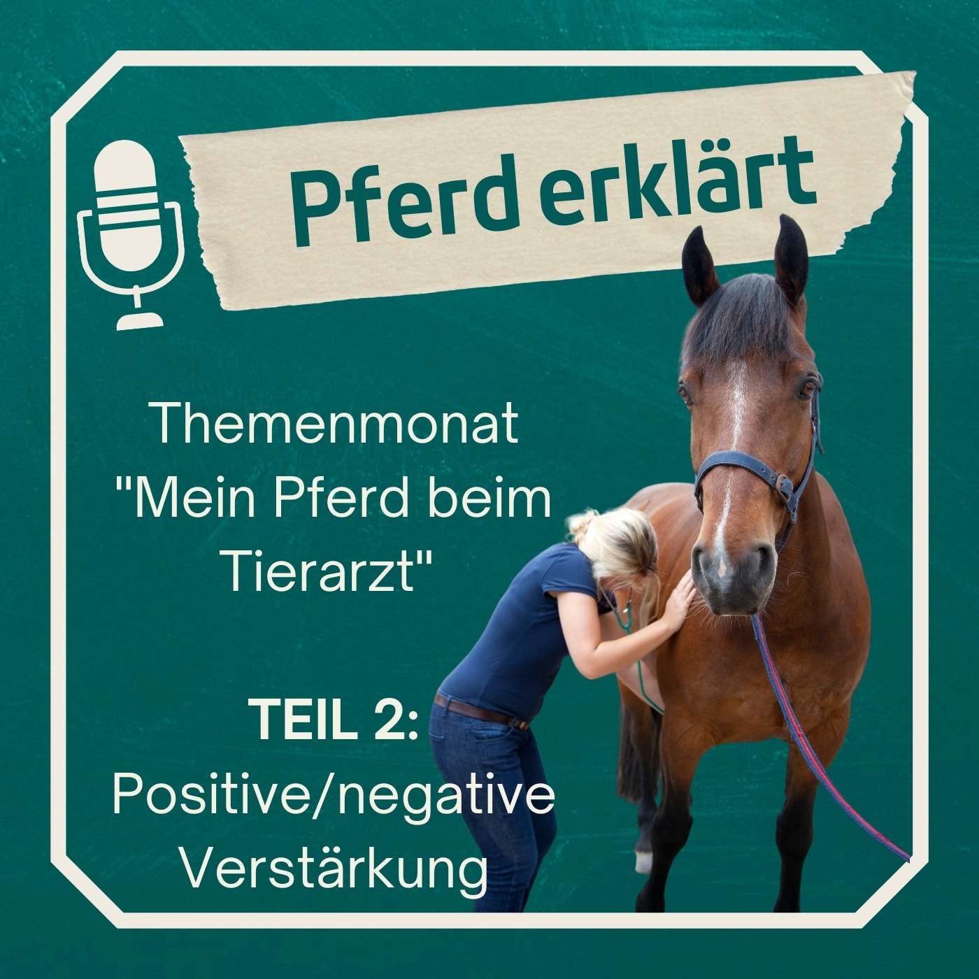 Das Pferd beim Tierarzt - Teil 2: Positive und negative Verstärkung