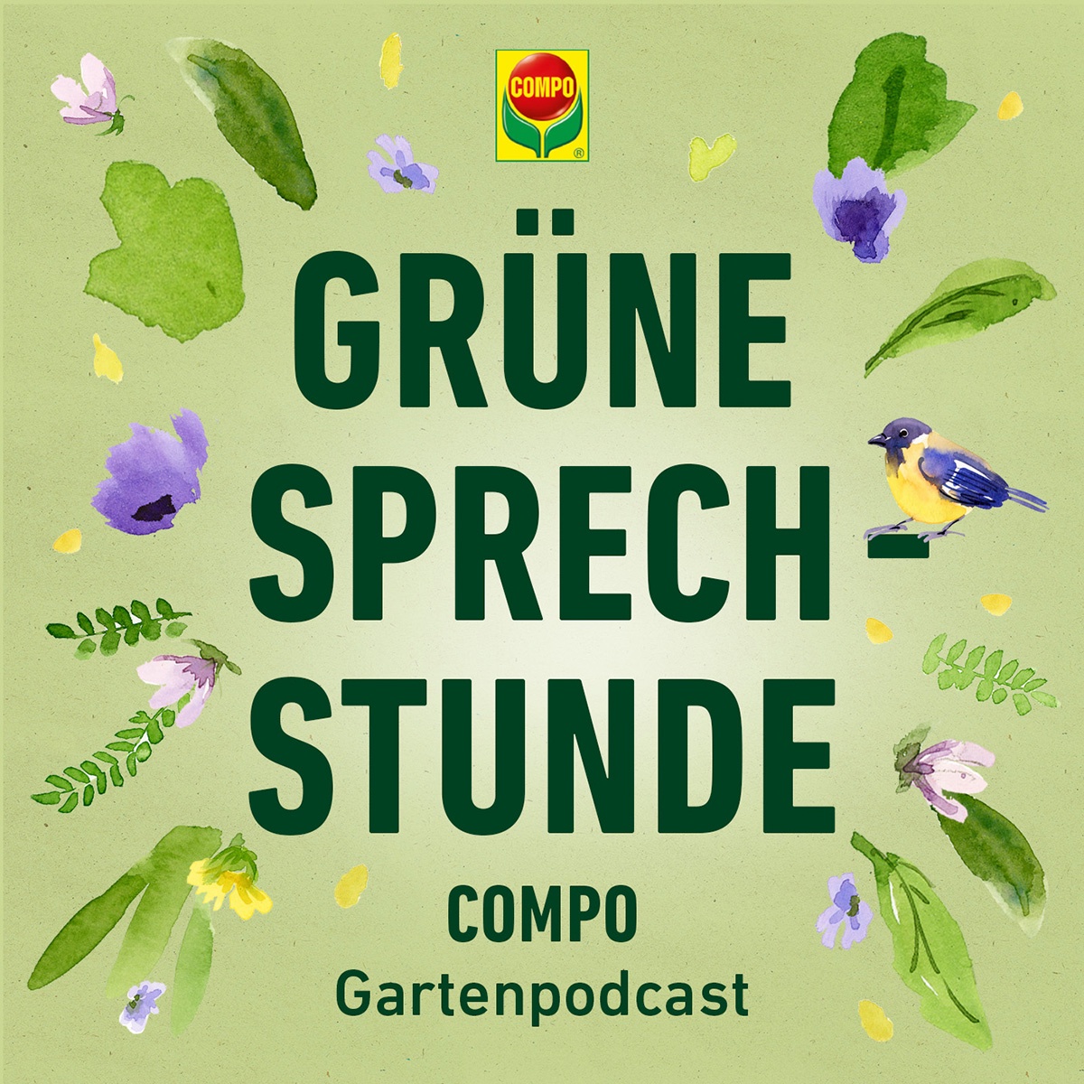 Aprikosenmarmelade auf dem Wacholder? – Grüne Sprechstunde