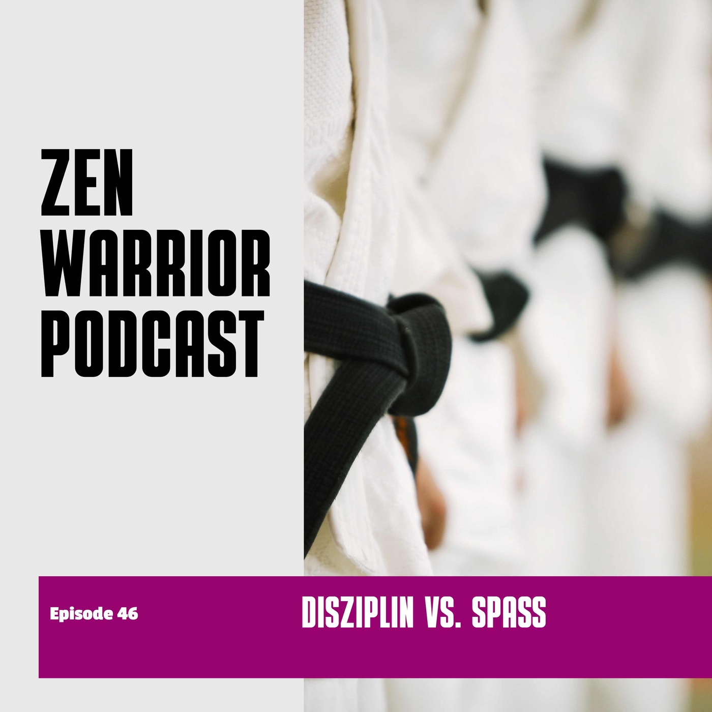 Disziplin vs. Spass: Zen Warrior Podcast Episode #46