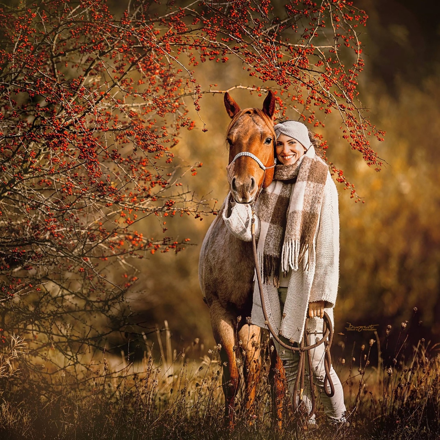 Simple und geniale Tipps für erfolgreicheres Pferdetraining