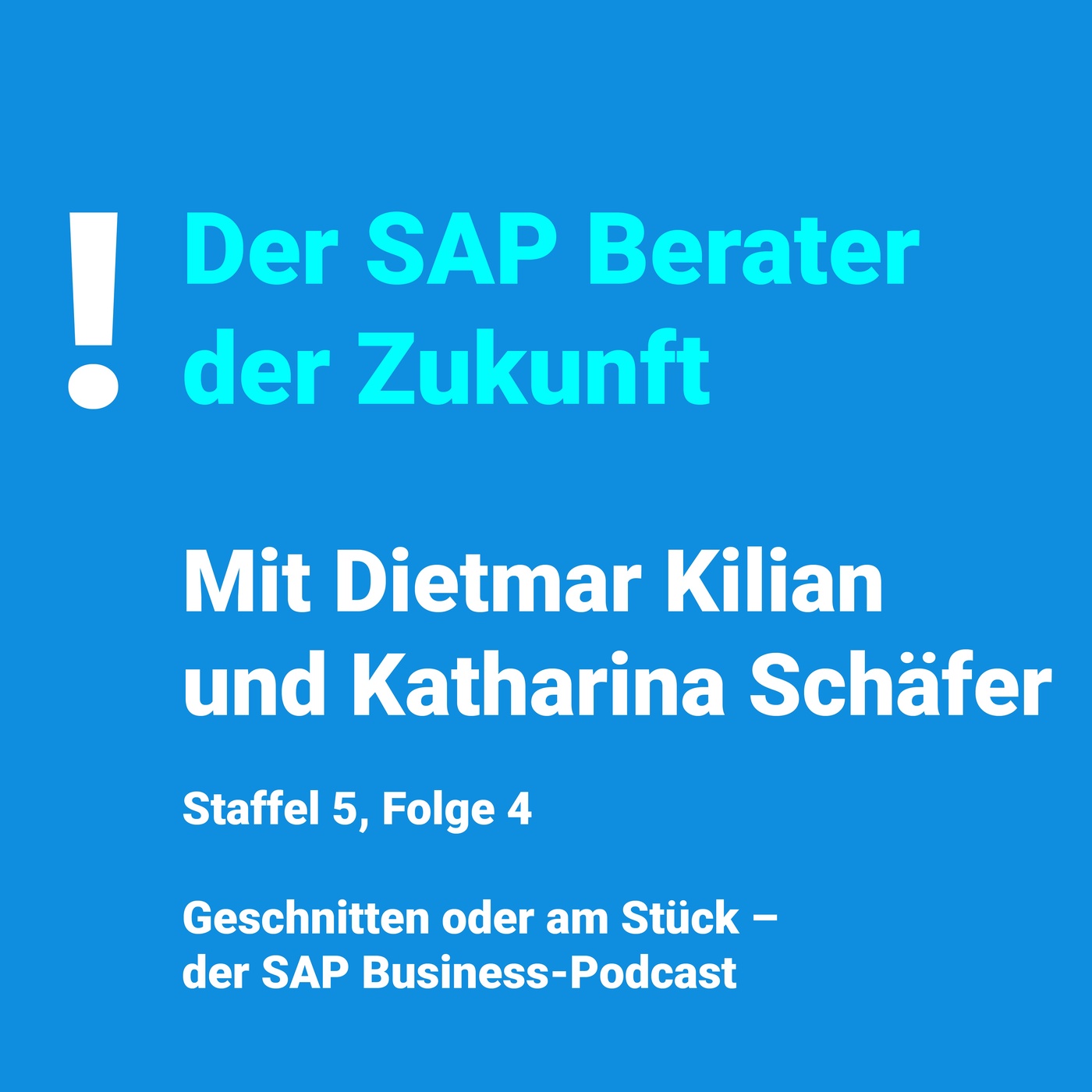 Zwischen Studium und System: Was SAP-Karrieren wirklich brauchen