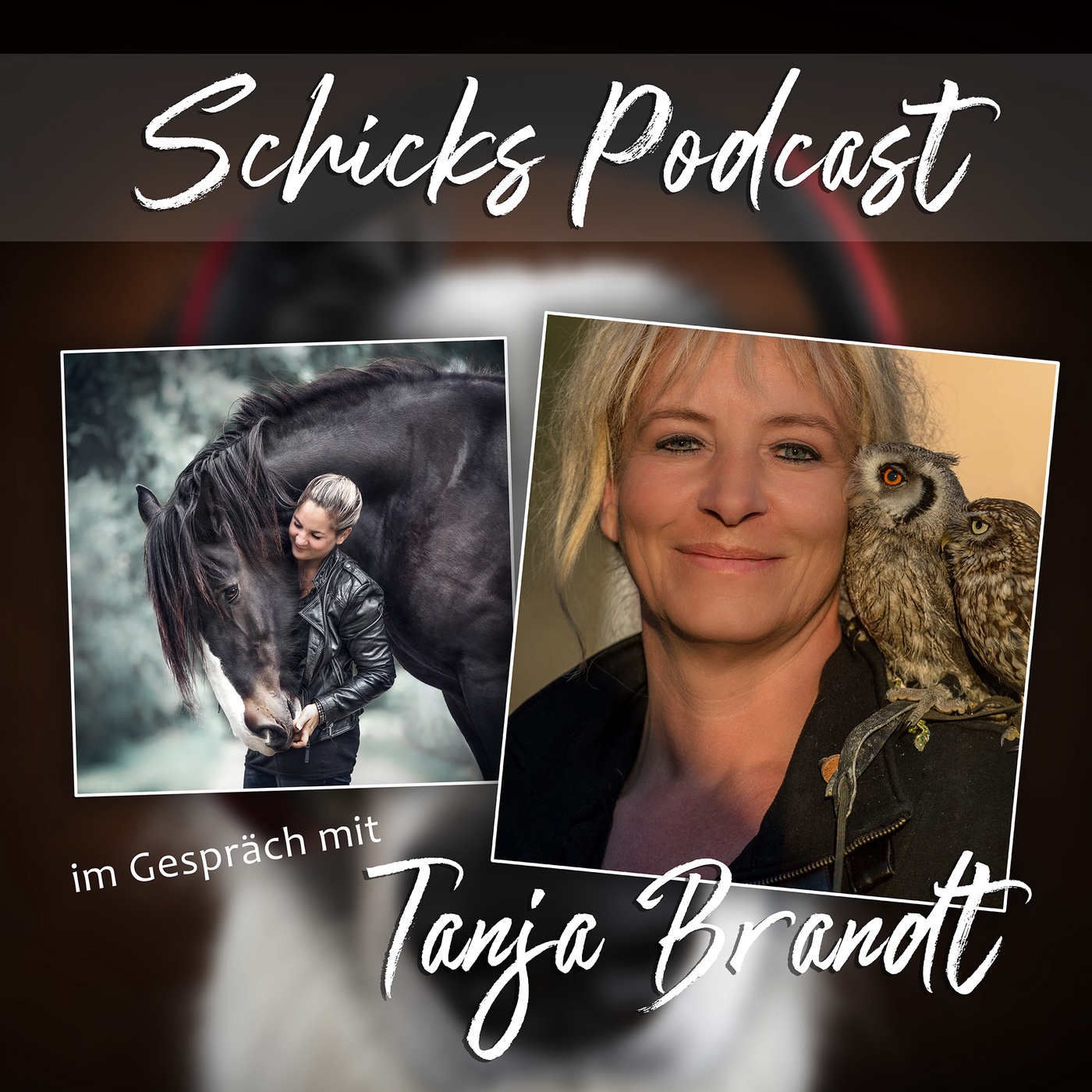 #055 GASTDialog mit Tanja Brandt: Freischnauze Teil 2