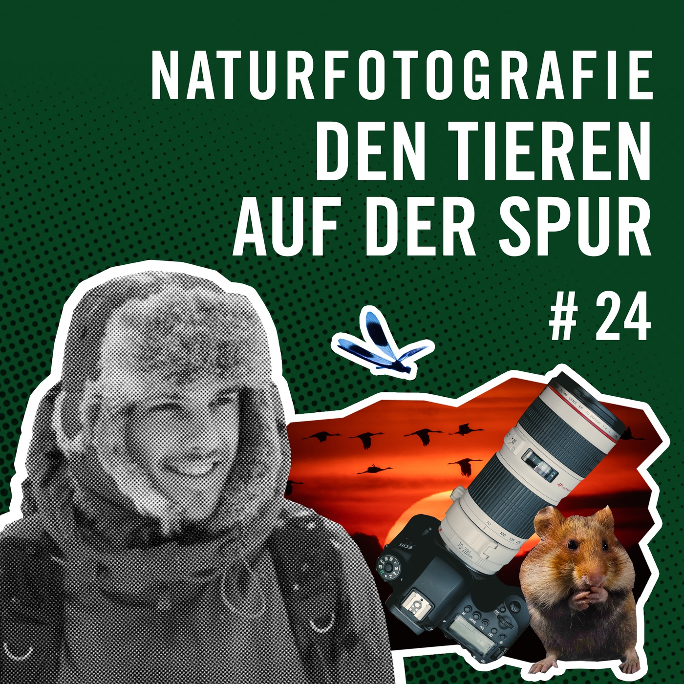 Naturfotografie - den Tieren auf der Spur mit Chris Kaula #24