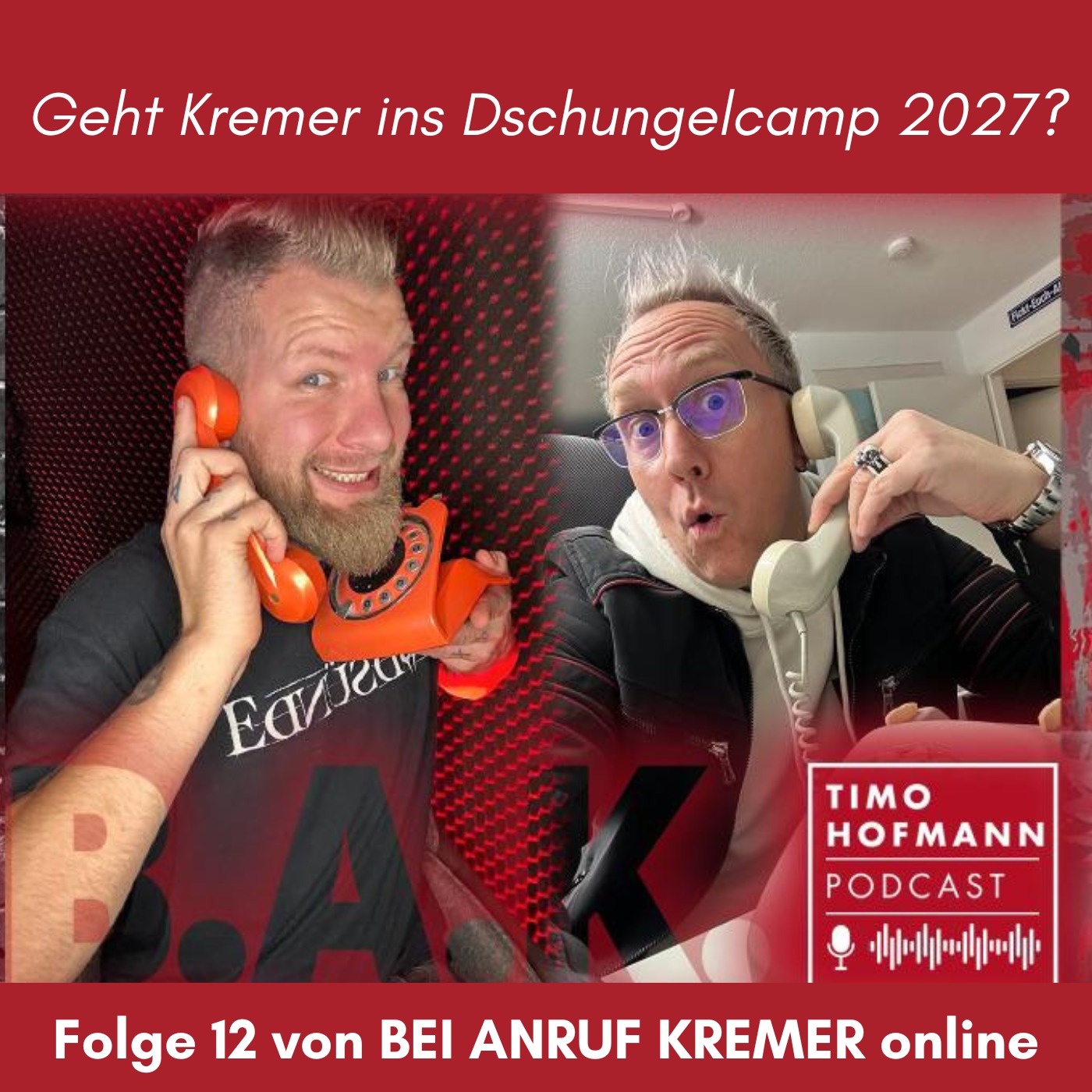 ☎️  Bei Anruf Kremer  📞 Folge 12  |  B.A.K. - DER Podcast mit Timo Hofmann & Erik Kremer