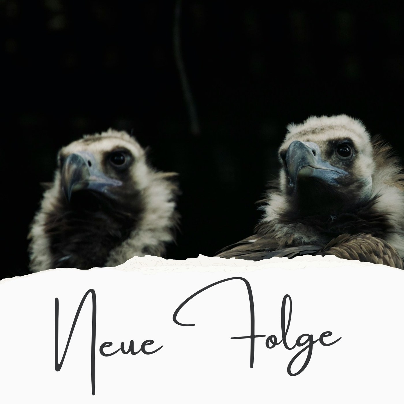 Nun lob mein Seel den Herren (EG 289)