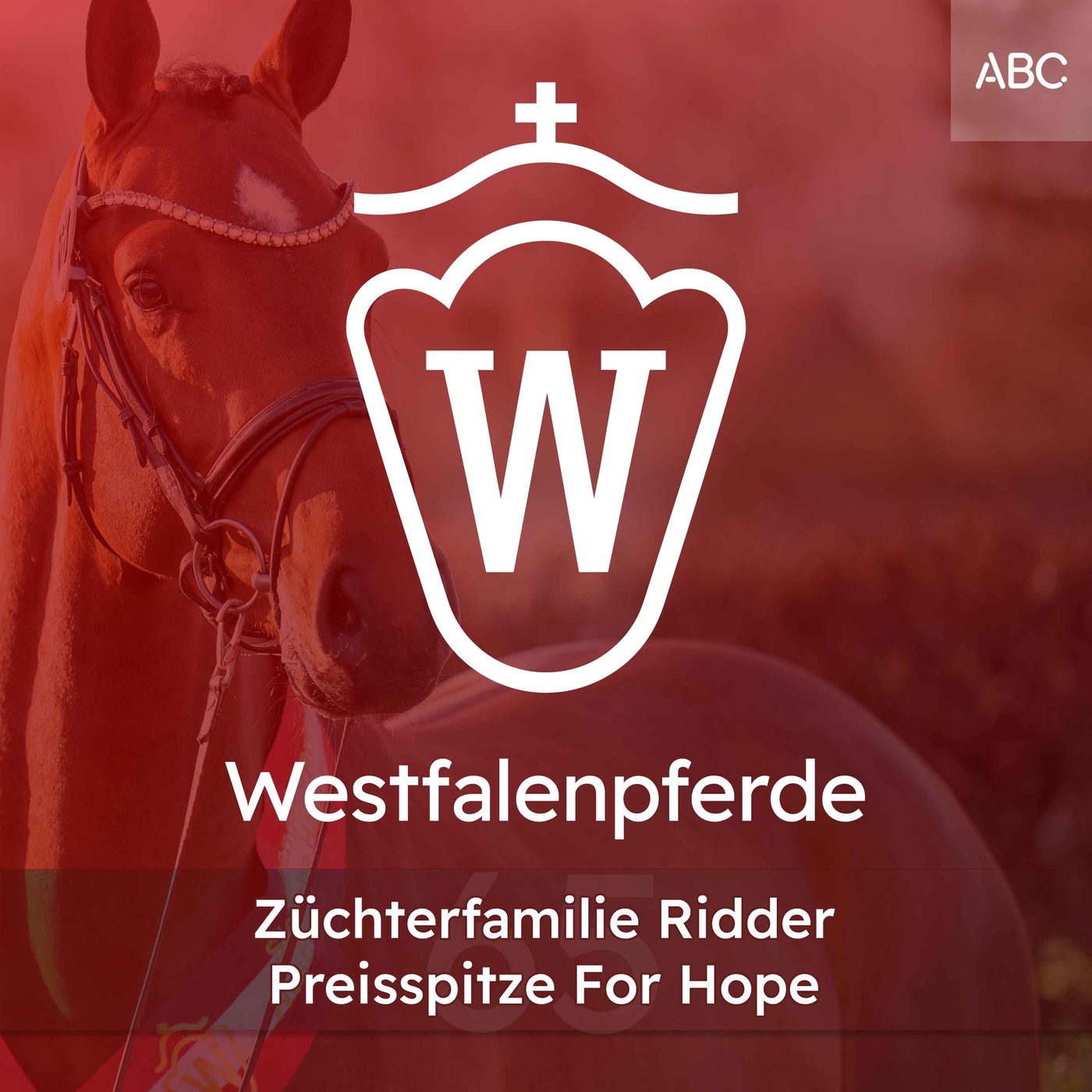 Züchterfamilie Ridder - Preisspitze For Hope