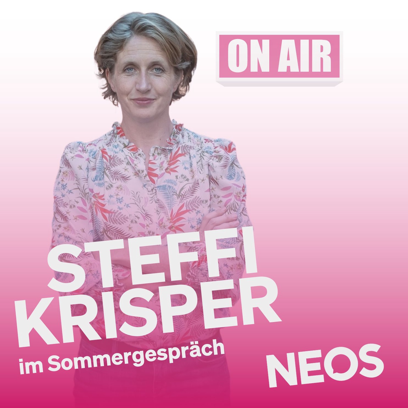 Sommergespräch mit Steffi Krisper