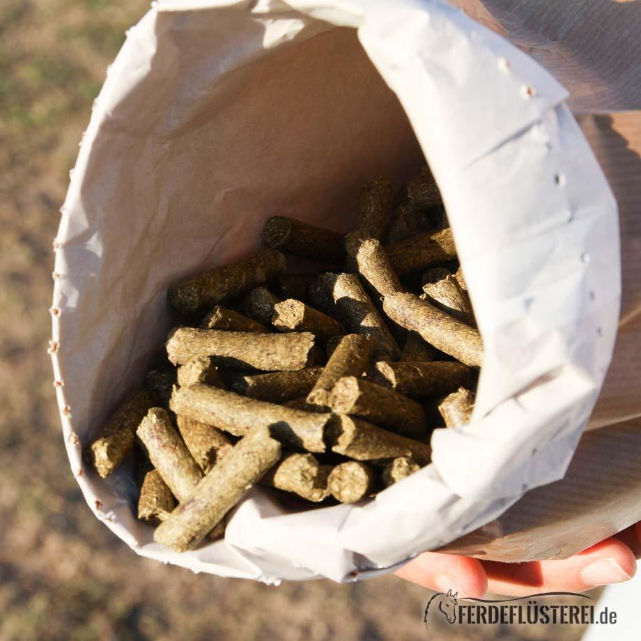 Leckerli - ja oder nein?