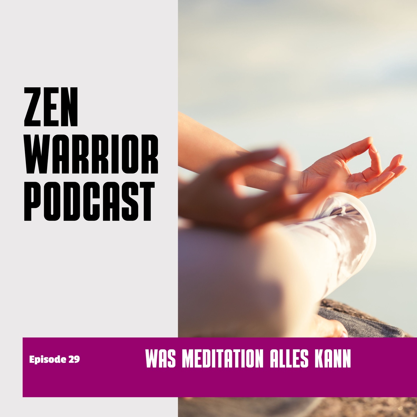 Was Meditation alles kann und warum: Zen Warrior Podcast Episode #29