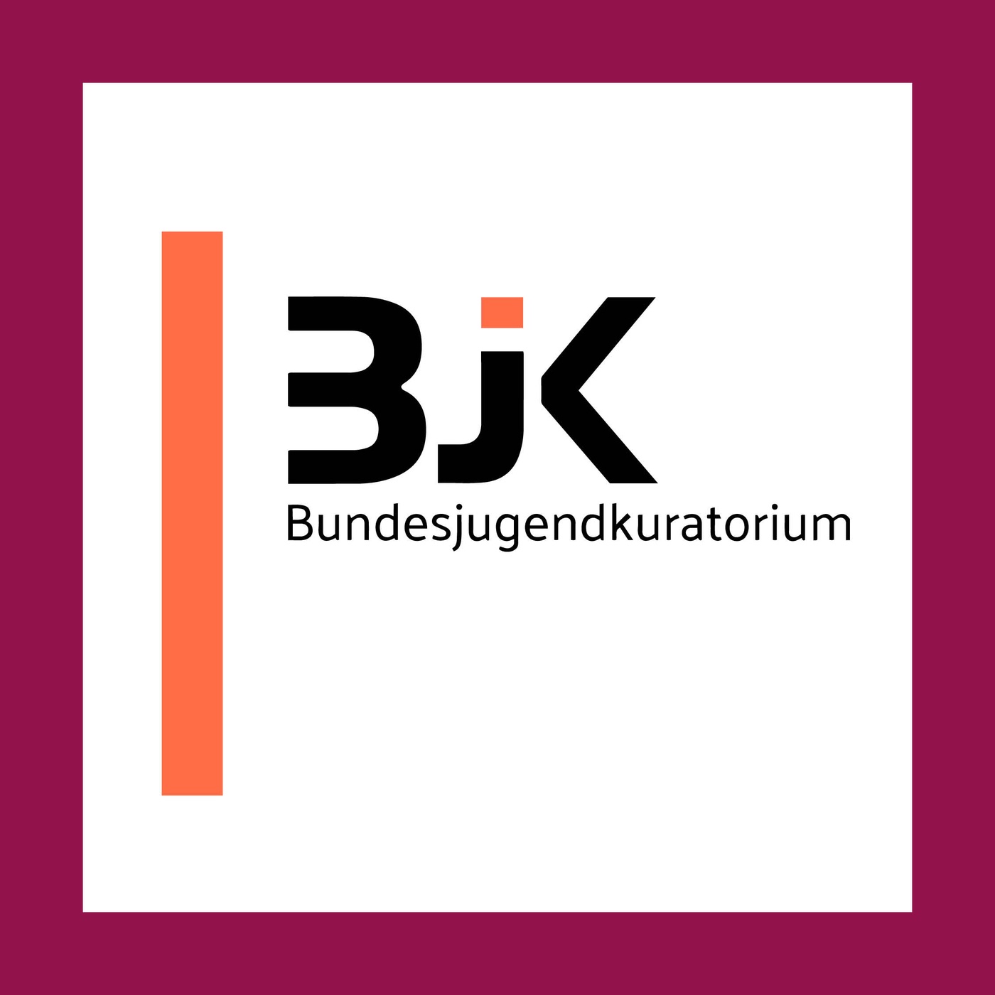 Was macht das Bundesjugendkuratorium?