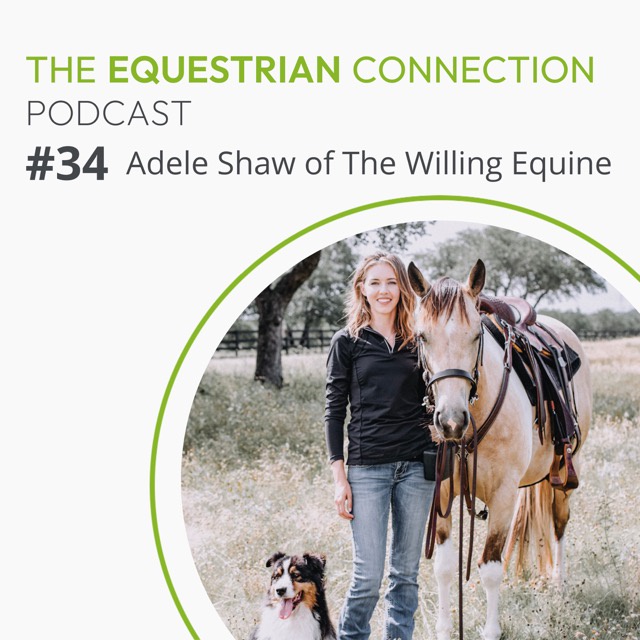 #34 Positive Reinforcement Training with Adele Shaw of The Willing Equine