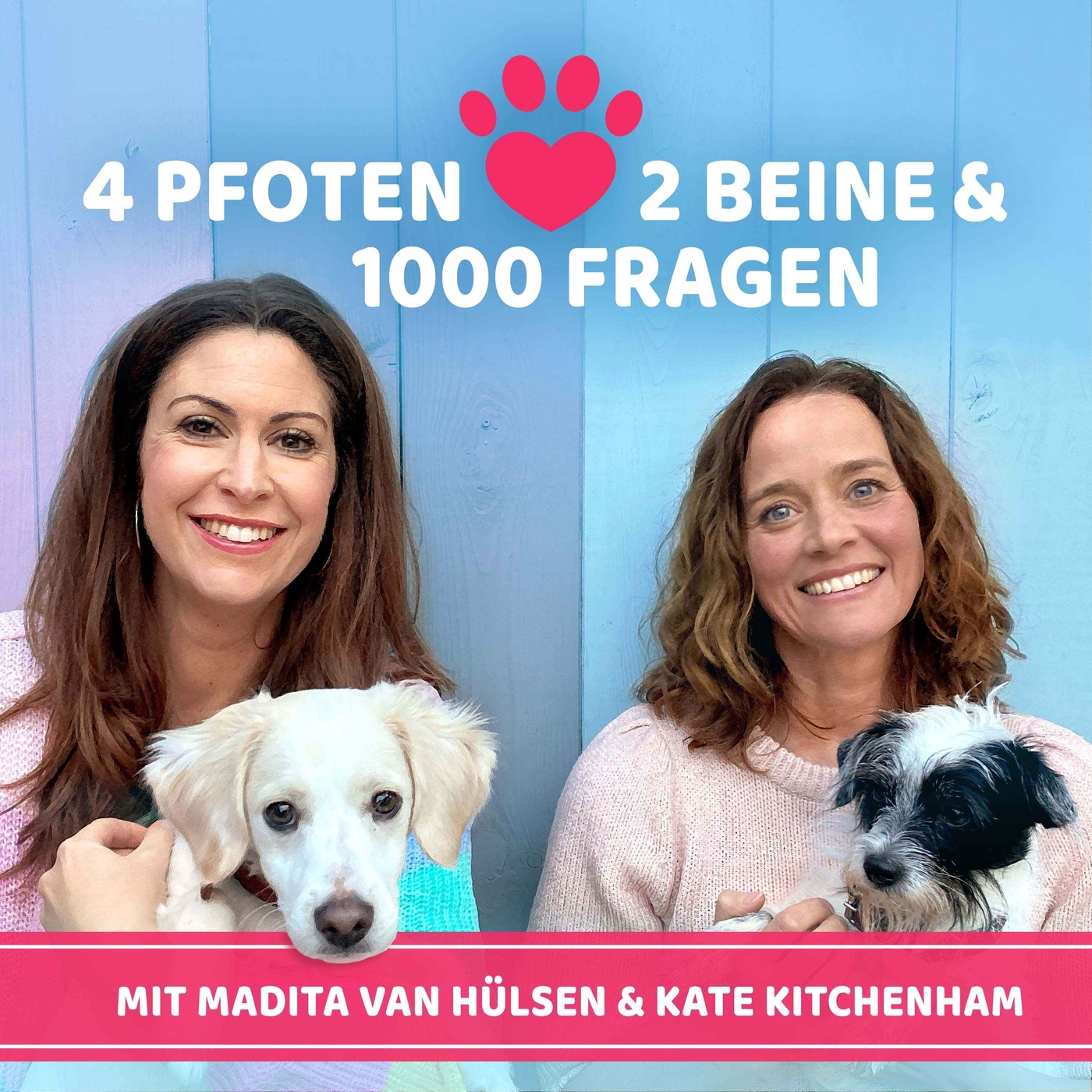 53. Haben Hunde ein Bewusstsein und können Denken?