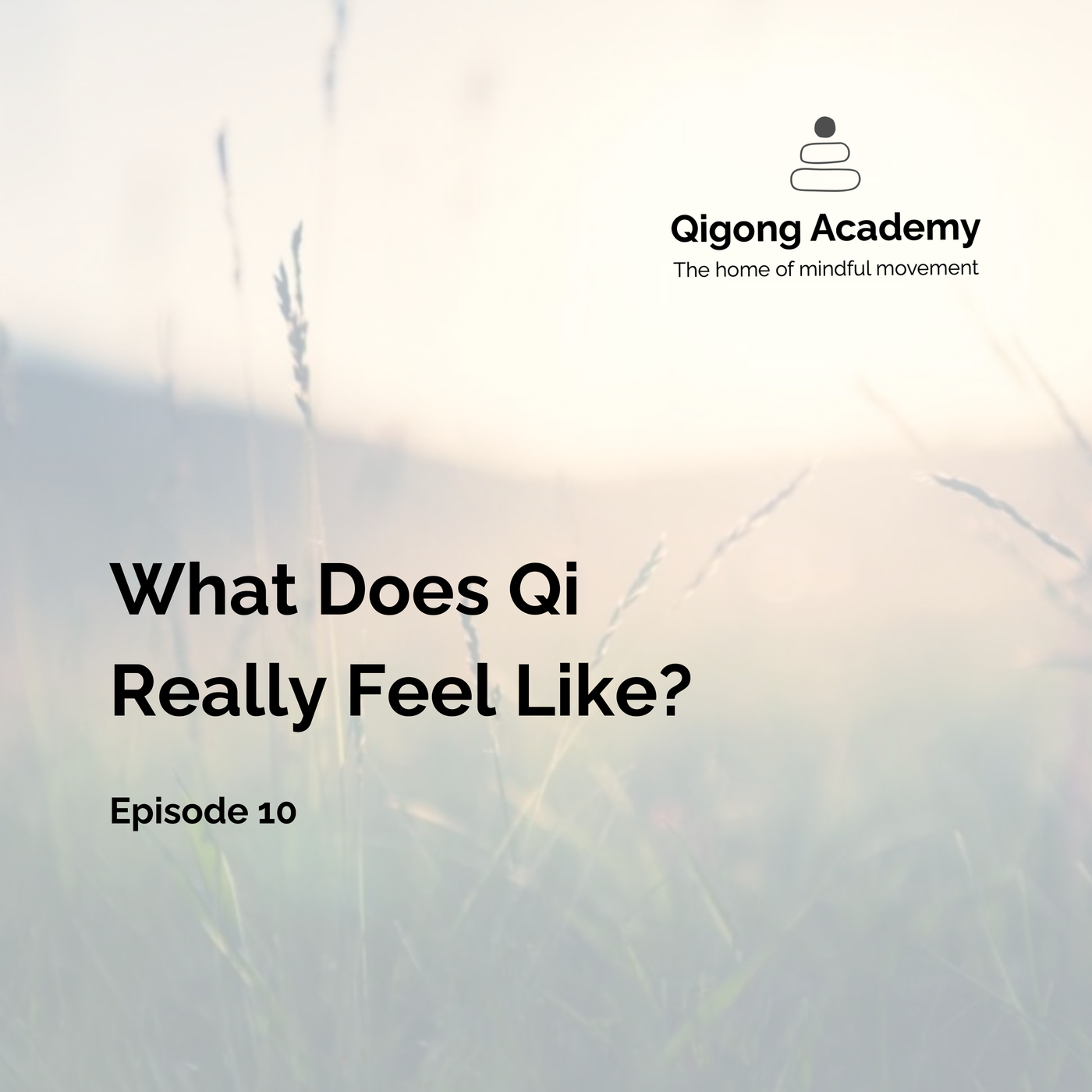 Episode 10 - What Does Qi Really Feel Like?