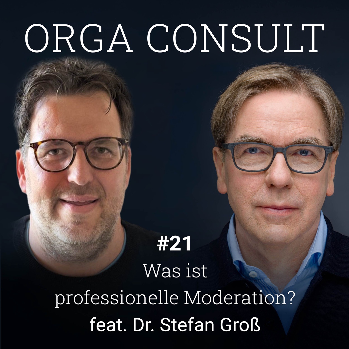 #21 Was ist professionelle Moderation Dr. Stefan Gross?