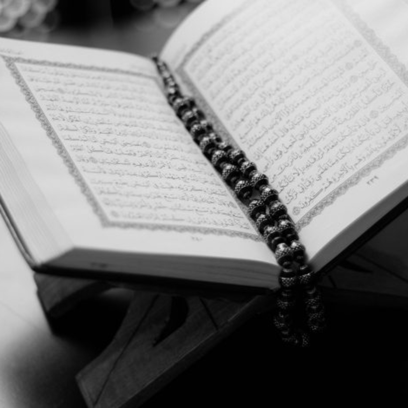 Der Koran, die Bibel und das Leben