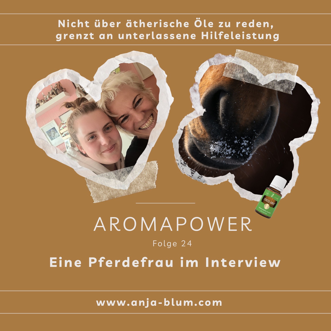 Eine Pferdefrau im Interview