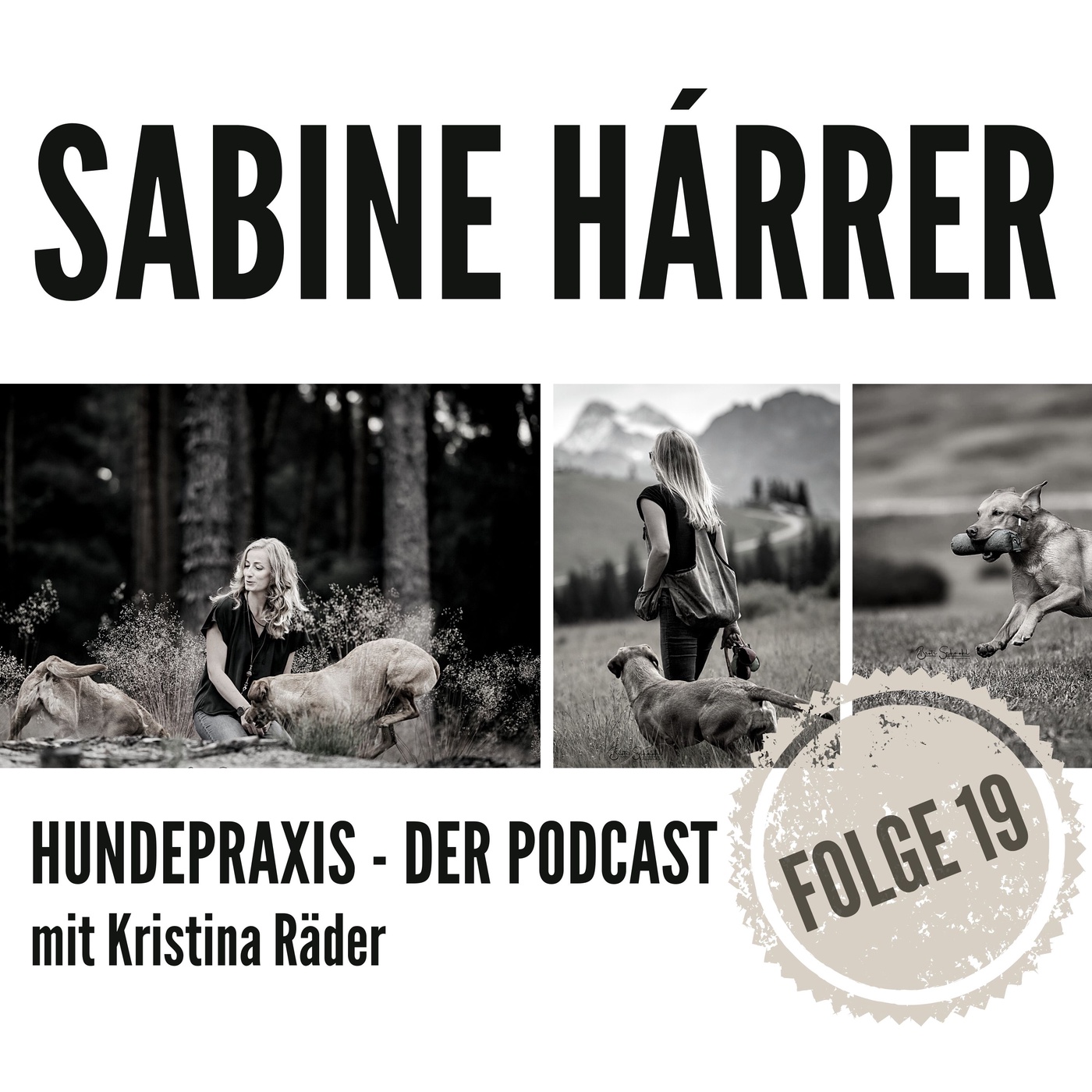 Wenn es nicht so recht läuft - Hundephysiotherapie Sabine Hárrer