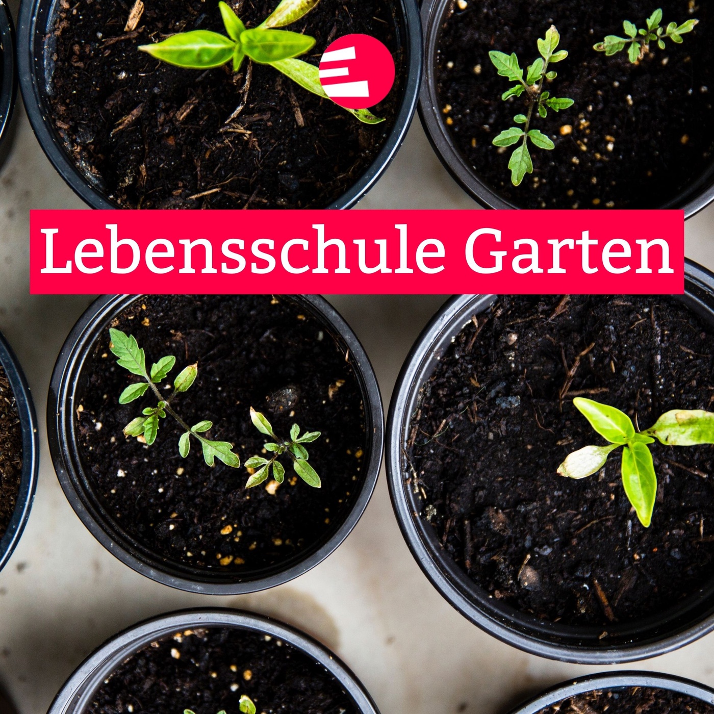 Lebensschule Garten