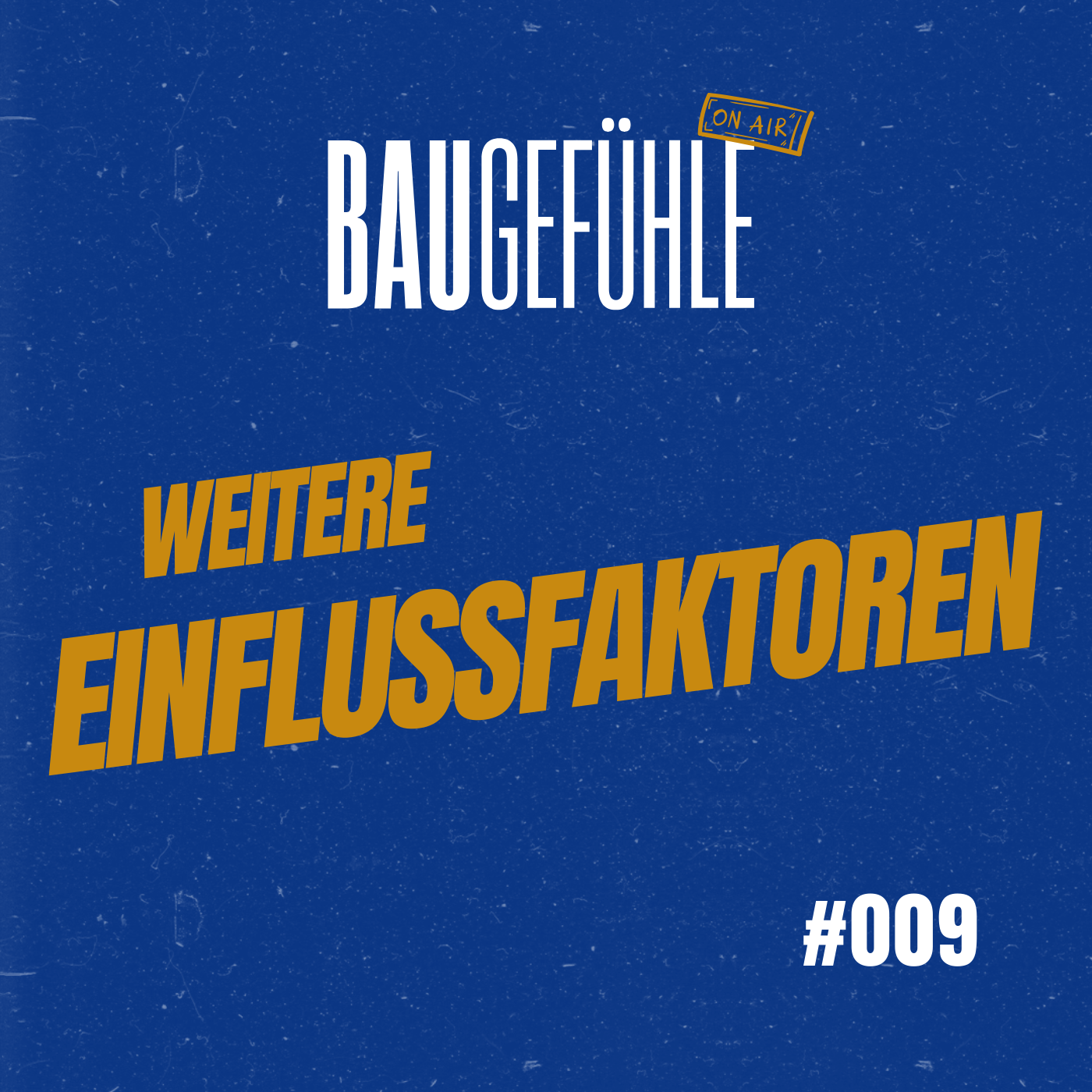 Weitere Einflussfaktoren