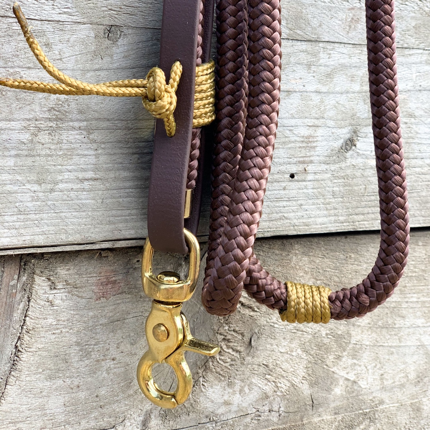 Richtig Longieren? Wie die Longe zu einem Supertool wird