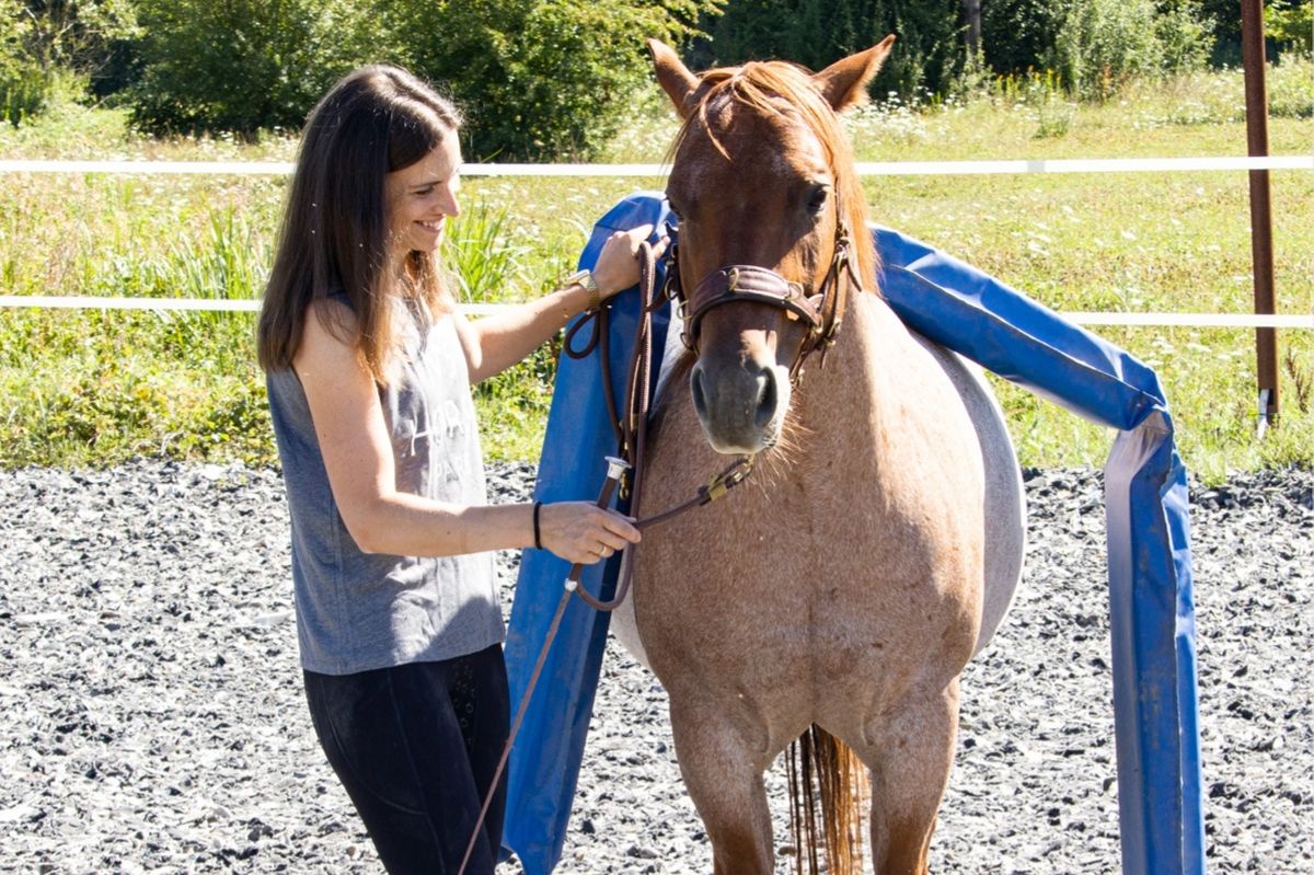 Kinderleichte Tipps für mehr Vertrauen mit deinem Pferd