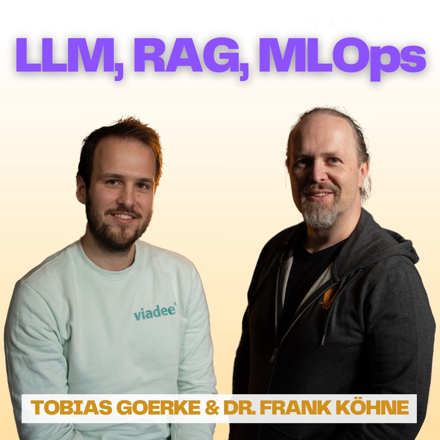 #159 mit Dr. Frank Köhne & Tobias Goerke von der viadee | LLMs, RAG, MLOps