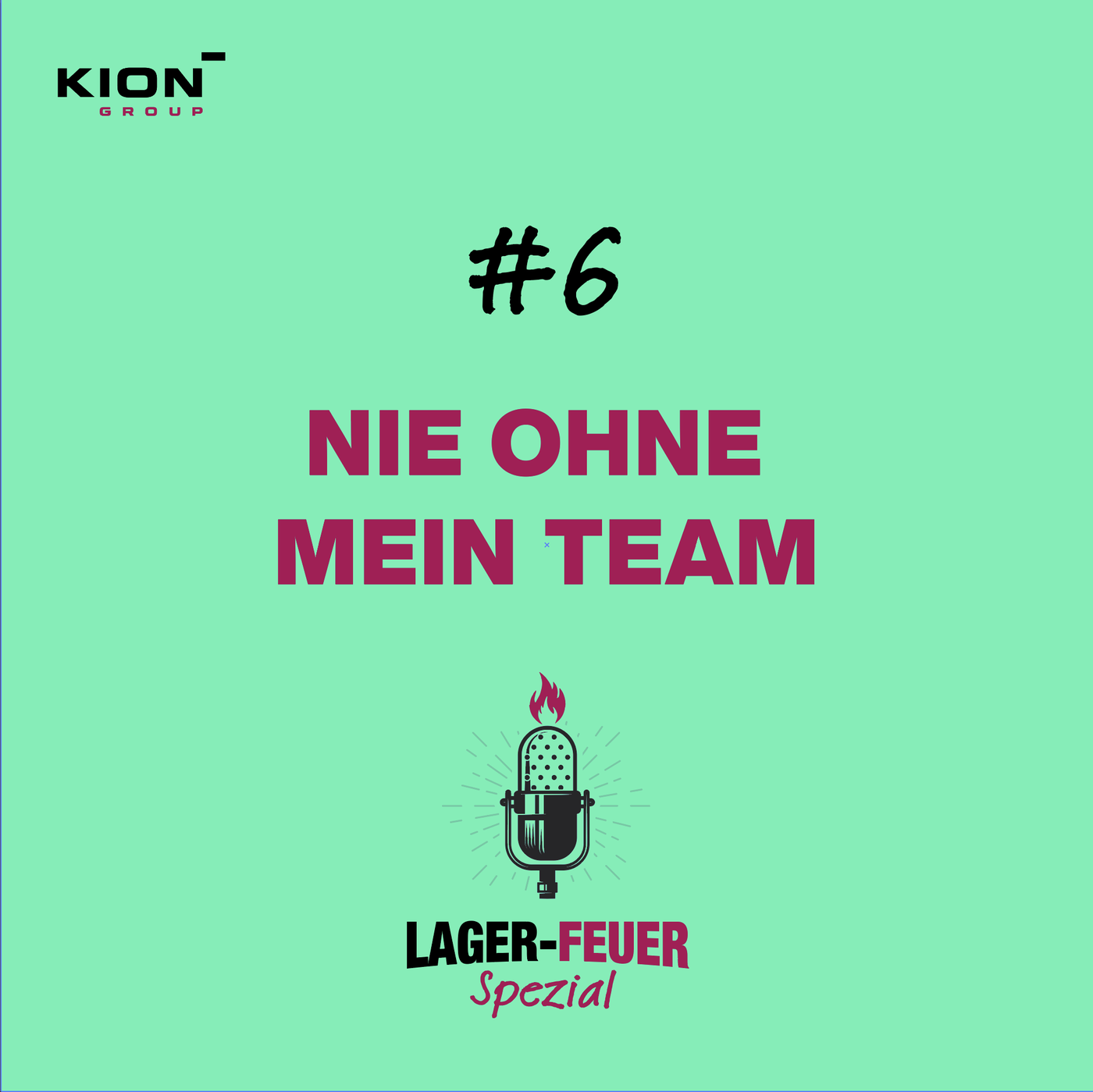 Nie ohne mein Team