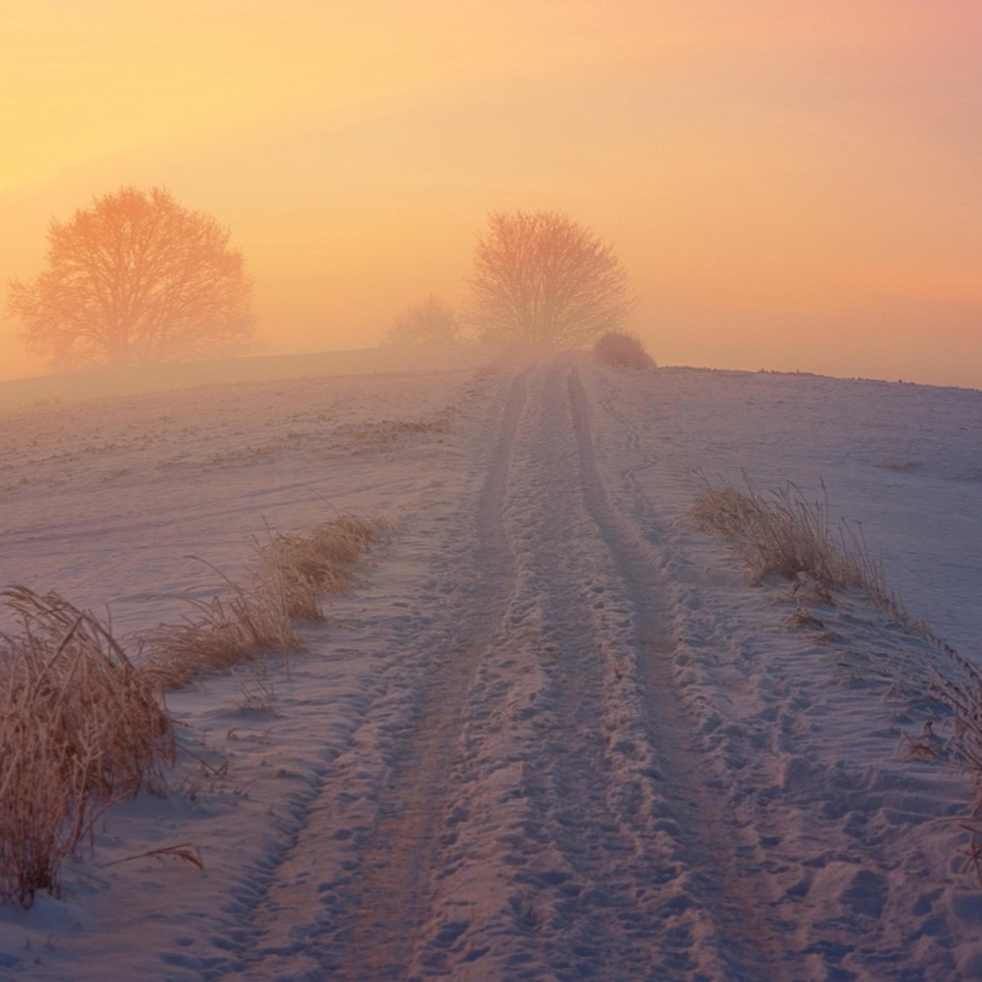 Adventkalender #1 Gudrun Nikodem-Eichenhardt