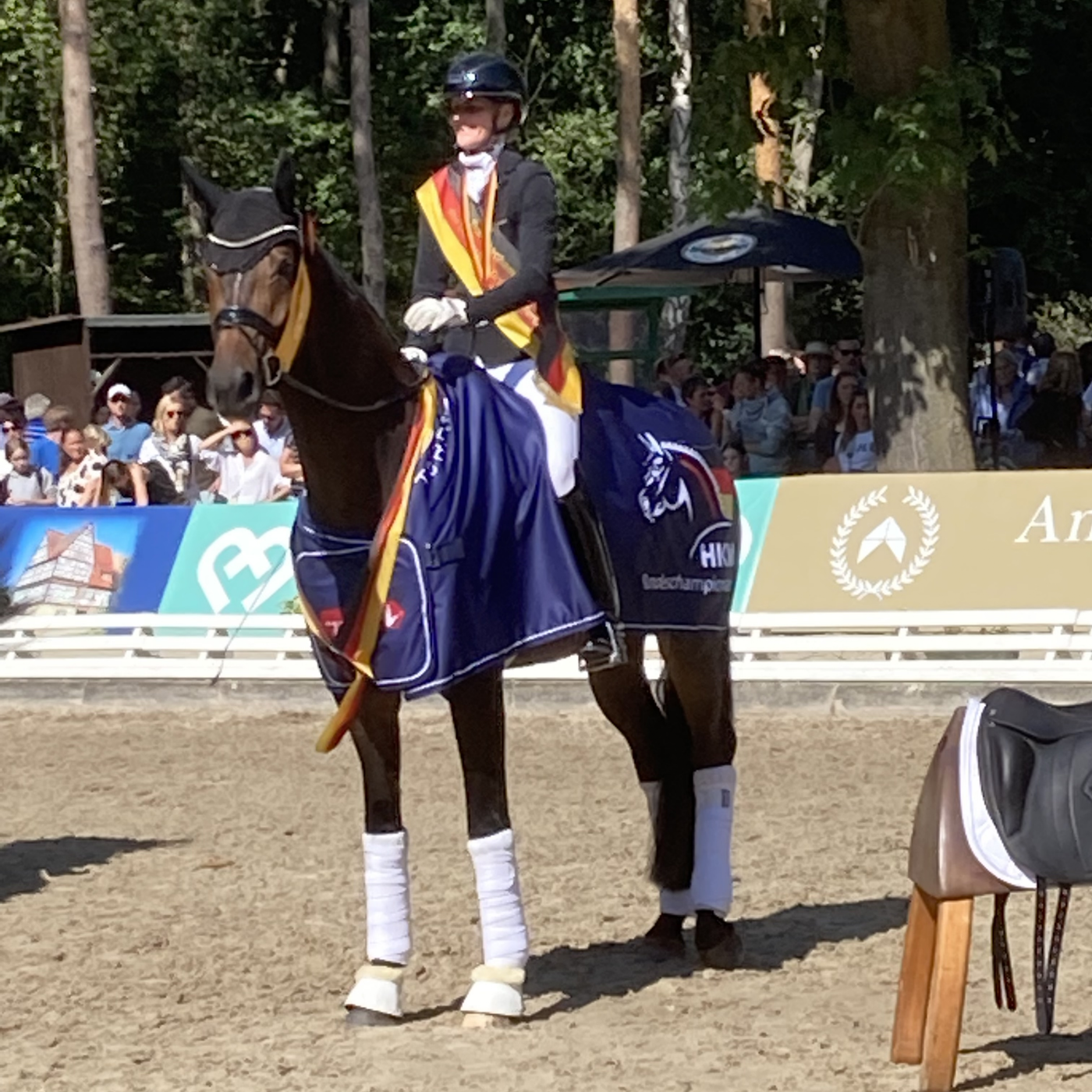 Bundeschampionate 2022: erste Champions Dressur+ Reitponys