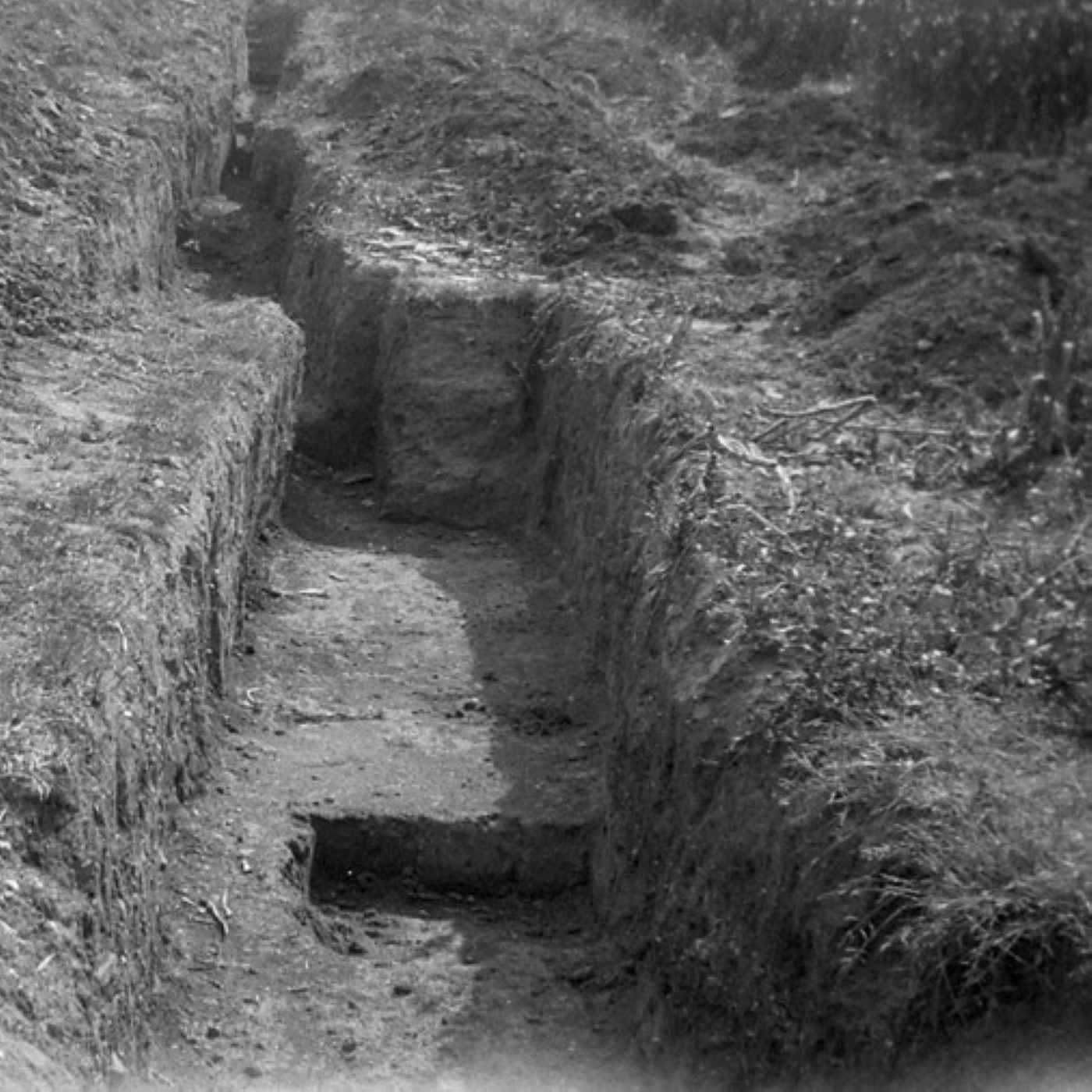 X-064: Archäologie und Anthropologie auf dem spätrömischen Gräberfeld von Nida, mit Dustin Welper