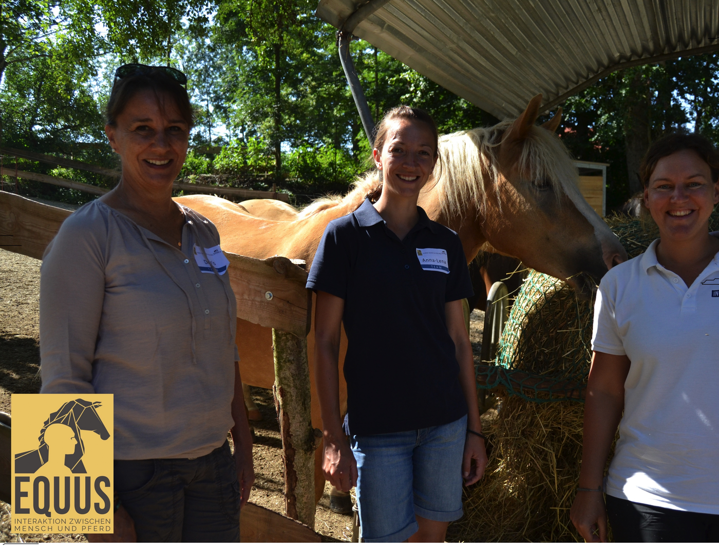 Horse sense and healing: Wie das Pferd bei einer posttraumatischen Belastungsstörung helfen kann 