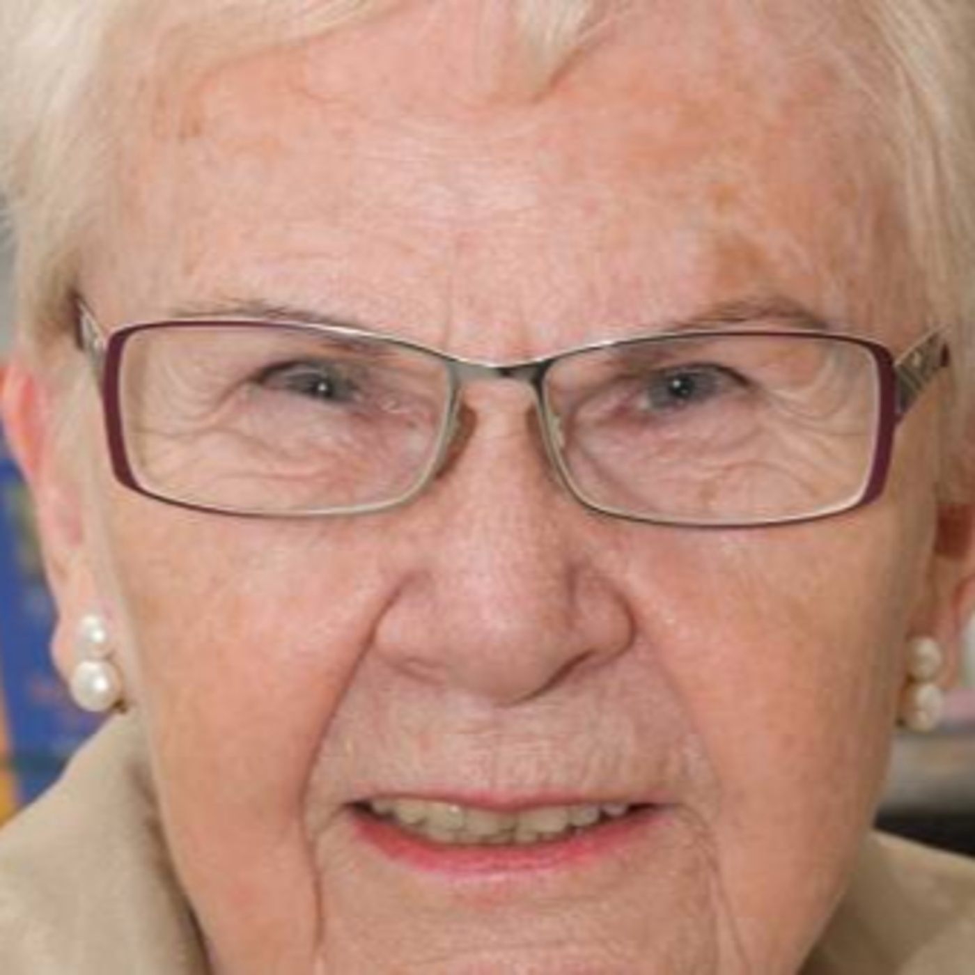 Perspektiven: Erinnerungen in Buchform von Ingeborg Schödl