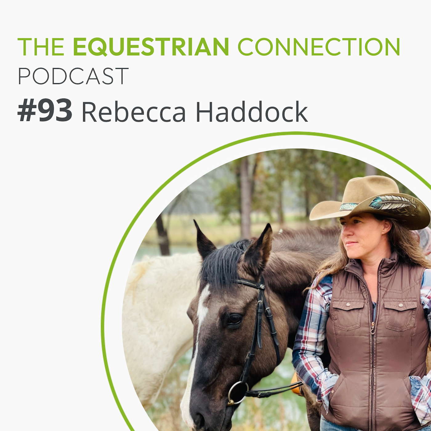 #93 Equine Taping Made Simple with Rebecca Haddock
