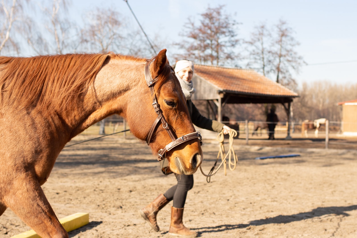 Zauberwaffe Bodenarbeit