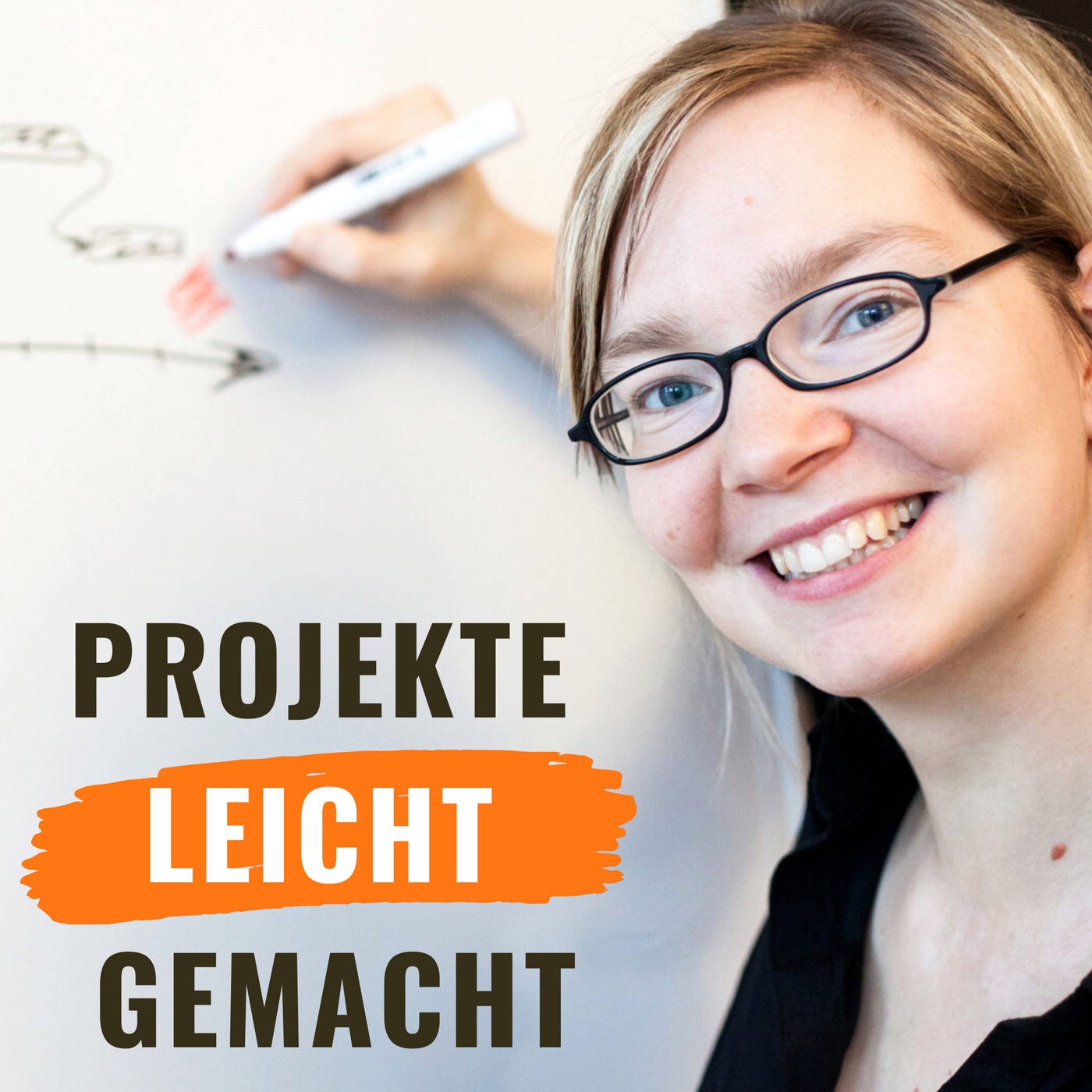 PLG-091: Worin unterscheiden sich Projekt- und Programm-Management?