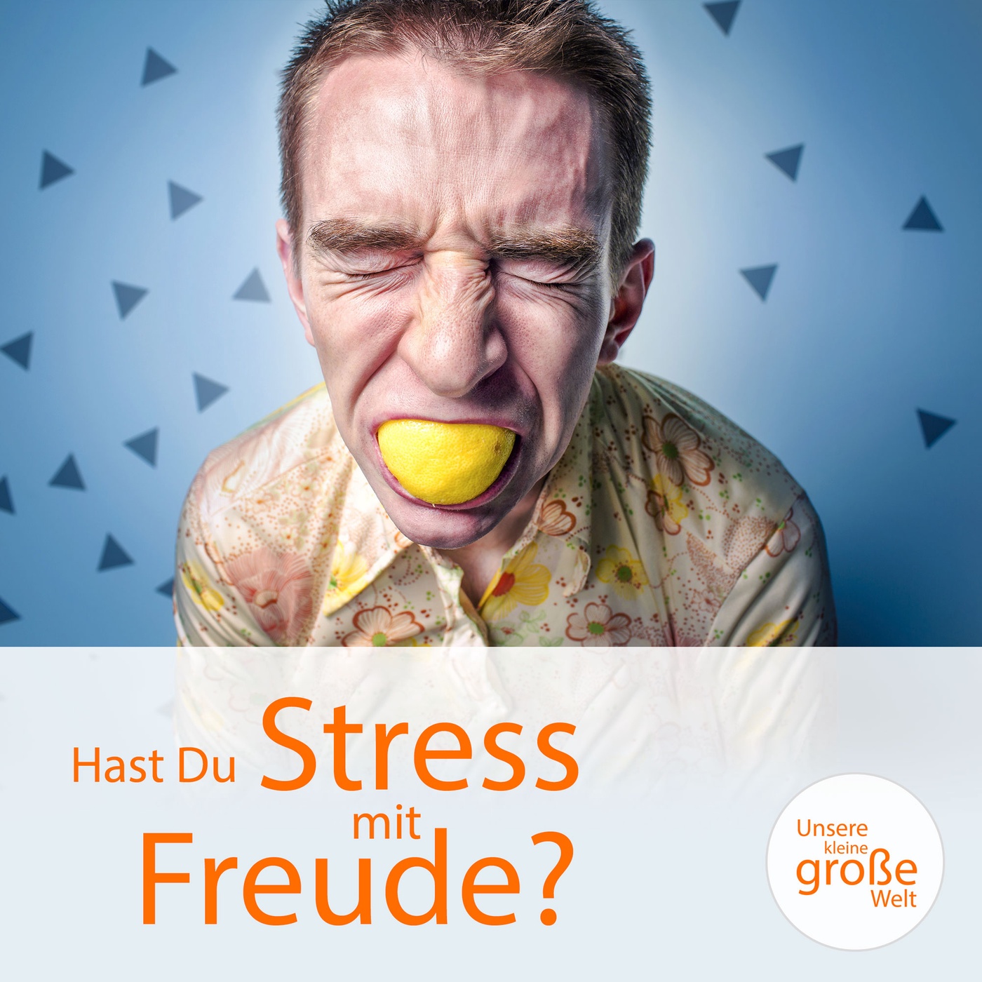 Hast Du Stress mit Freude?