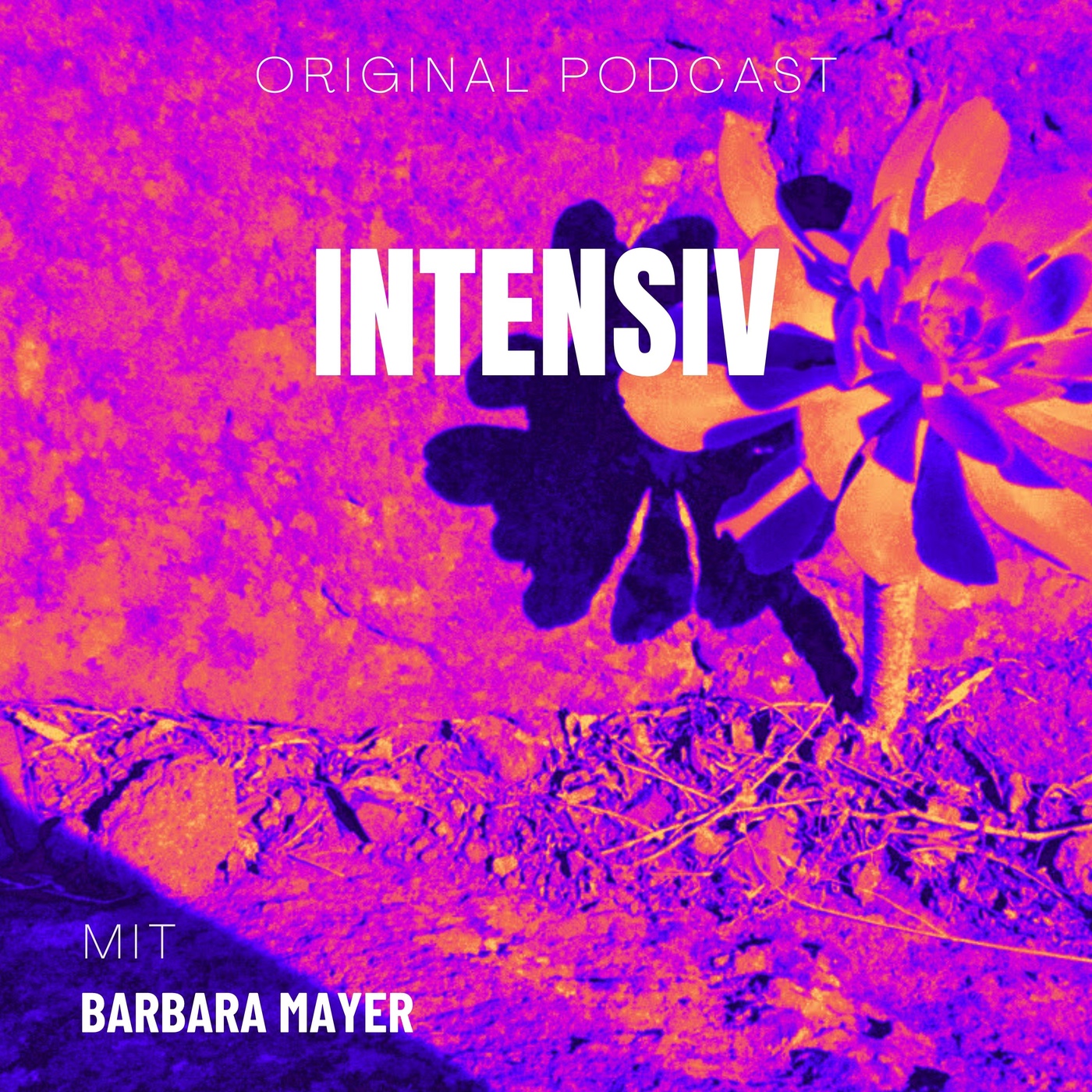 Intensiv – mit Barbara Mayer