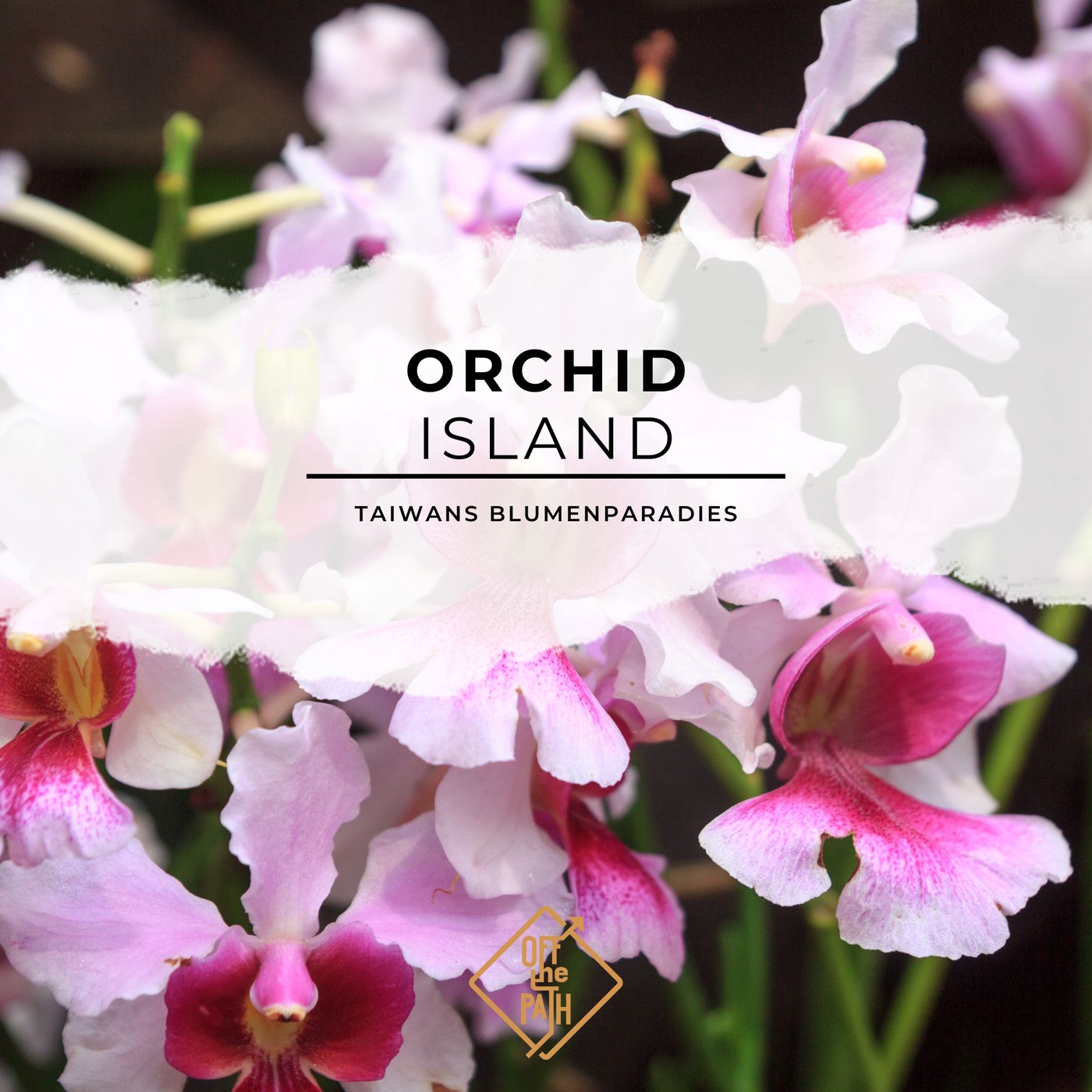 Die atemberaubende Flora von Orchid Island: Taiwans Blumenparadies