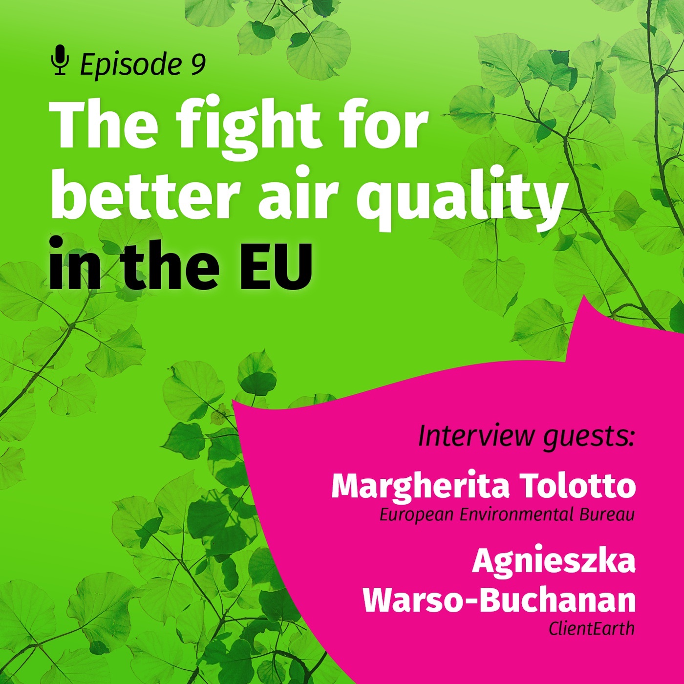 The fight for better air quality in the EU