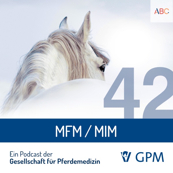 MFM /MIM
