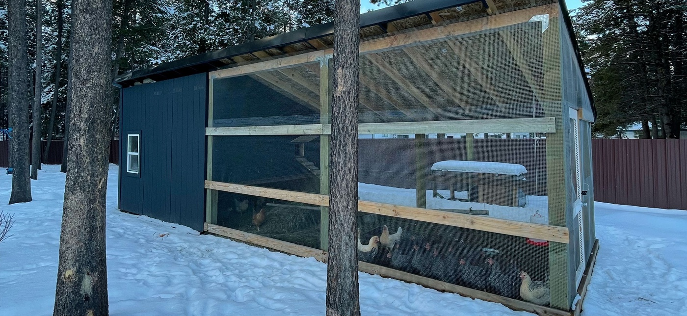 We finished Our Chicken Coop and here is what we learned about doing hard things