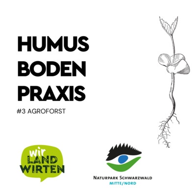 Humus Boden Praxis #3 Agroforst