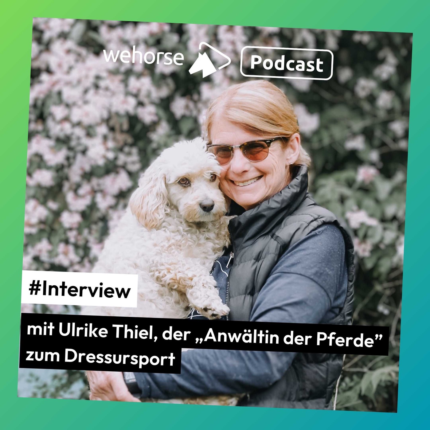 #Interview mit der „Anwältin der Pferde” Ulrike Thiel zum Dressursport: Ungesundes Spektakel