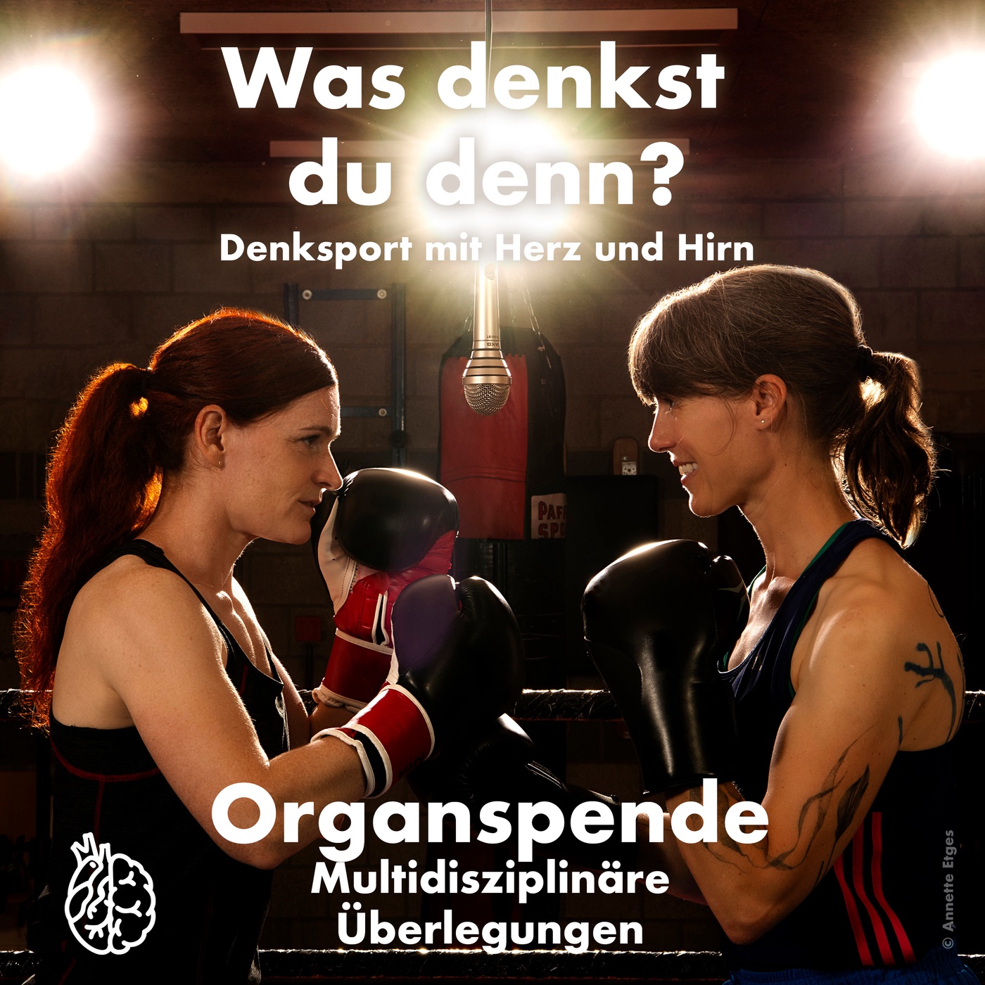 Organspende