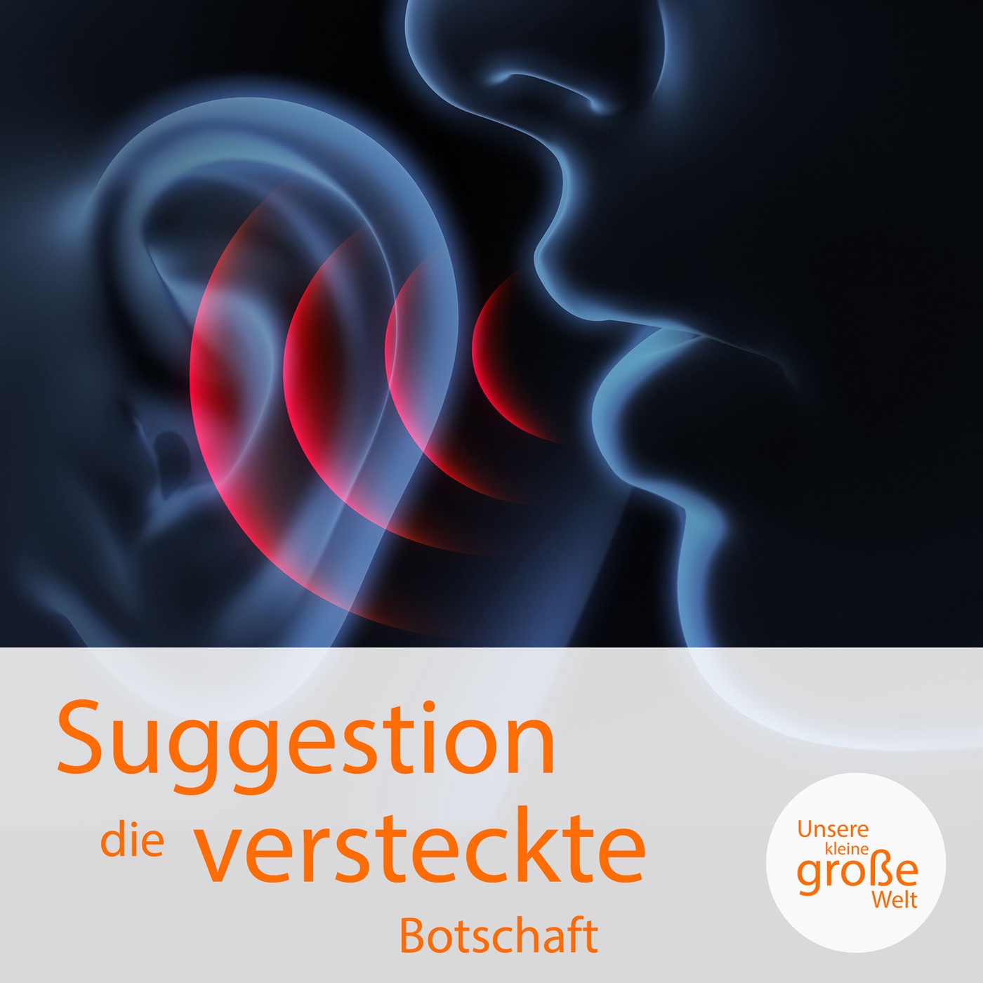 Suggestion – die versteckte Botschaft