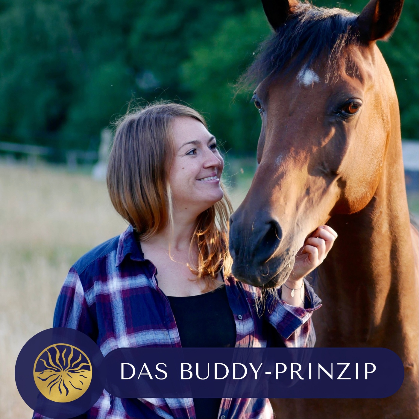 Episode 267 - Buddy Buddy