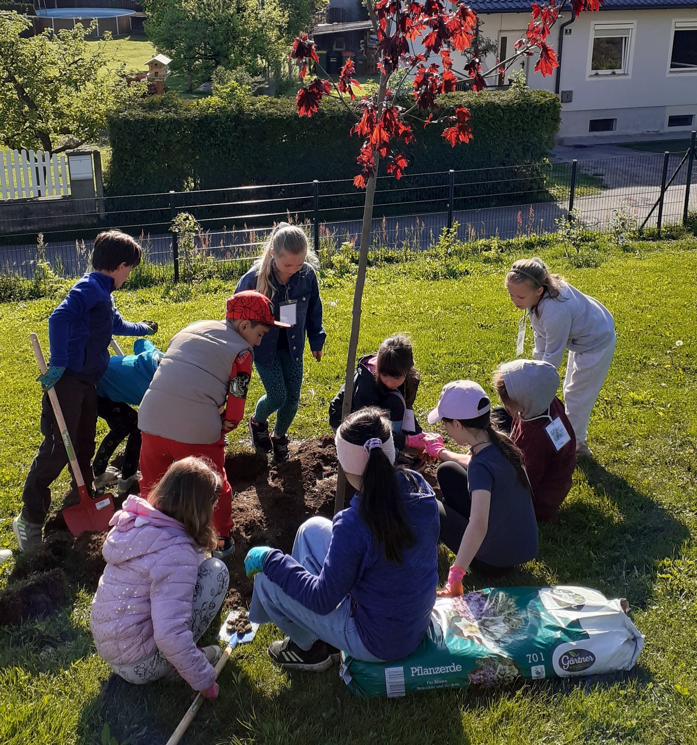 Schulgarten als Naturlehrraum