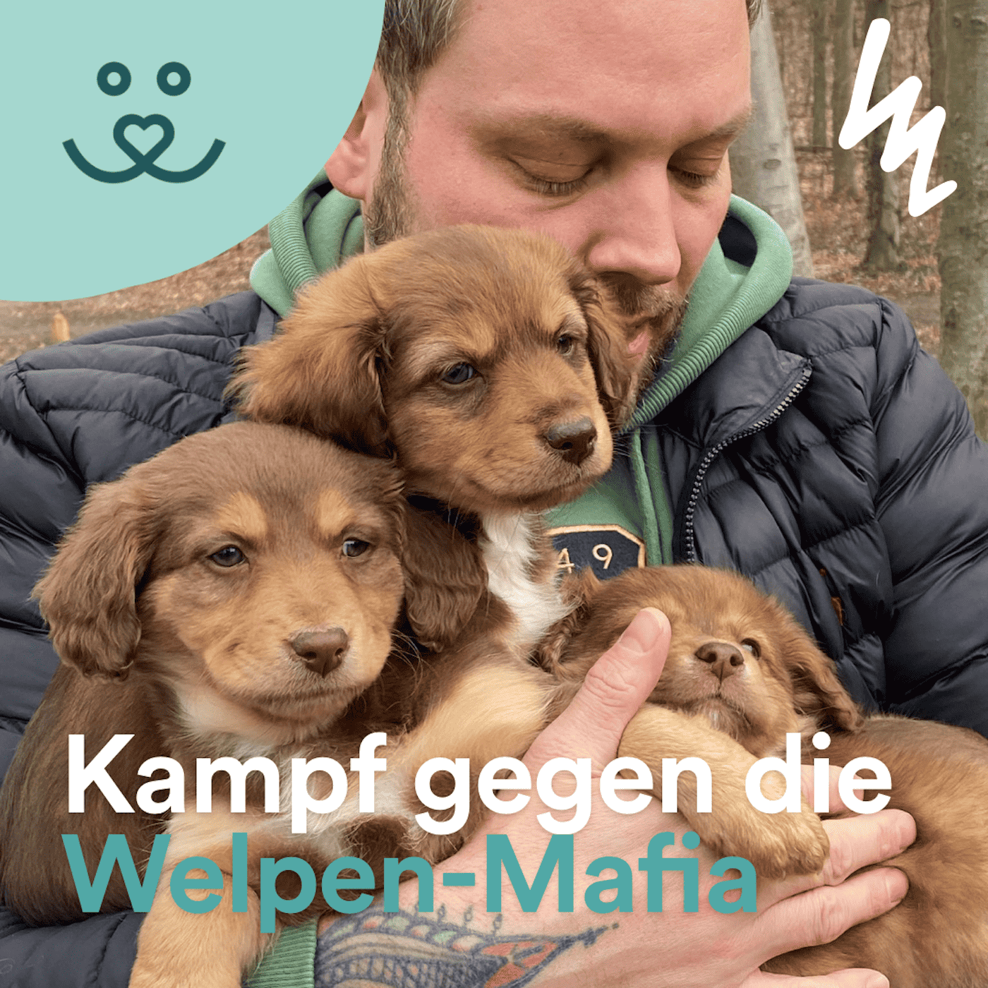 Update No. 85: Tierschützer Stefan Klippstein kämpft gegen die Welpen-Mafia 🐶🕵️