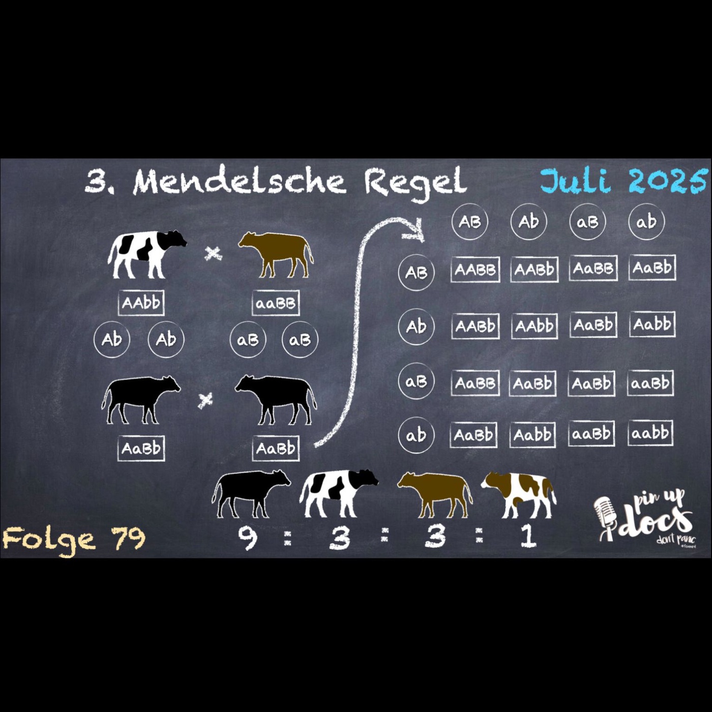 Hauptfolge 79 - Juli 2025