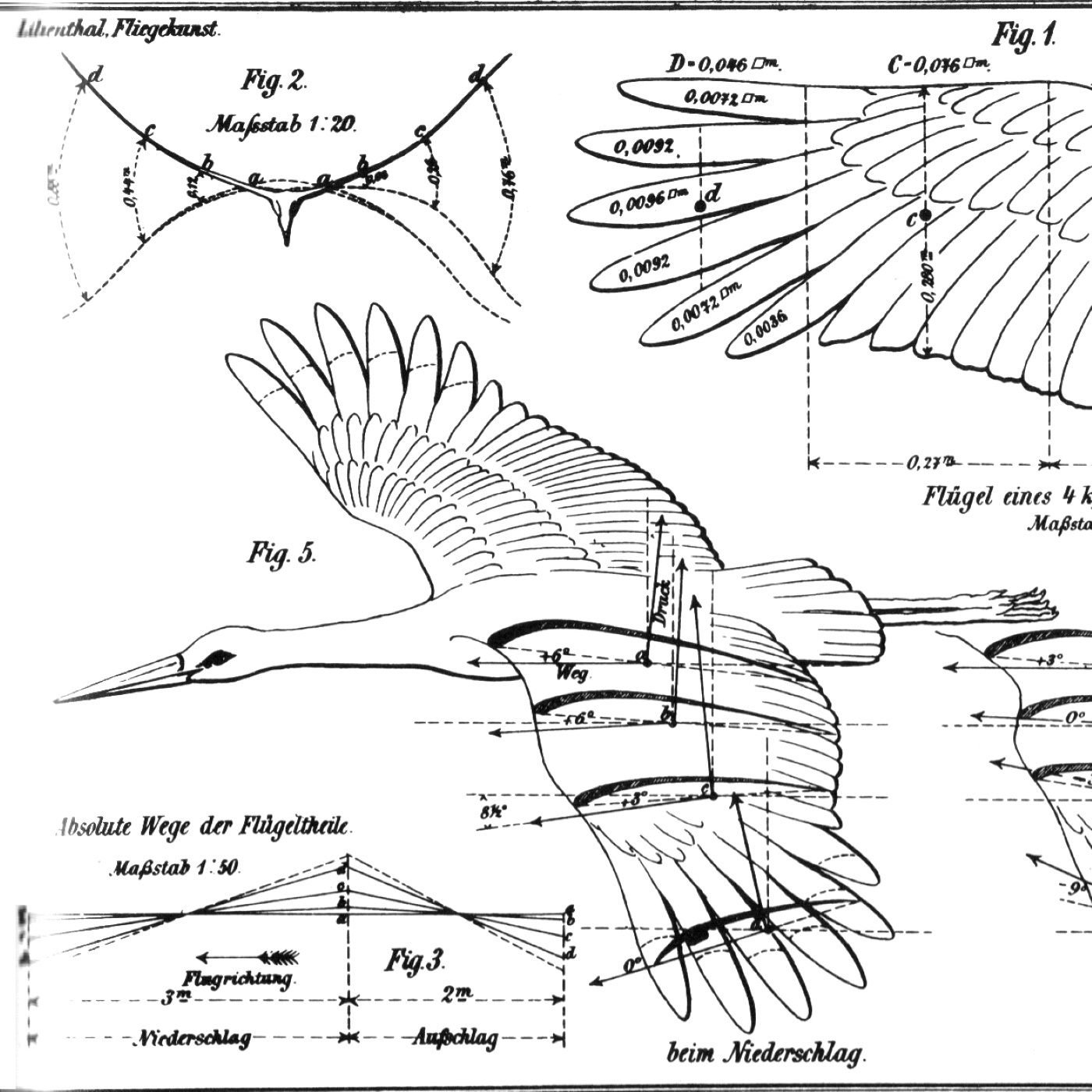 Y-032: Otto Lilienthal, Der Vogelflug als Grundlage der Fliegekunst (1889)